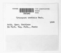 Image Associated With the Occurence